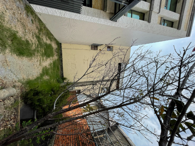 專約頂寮建地